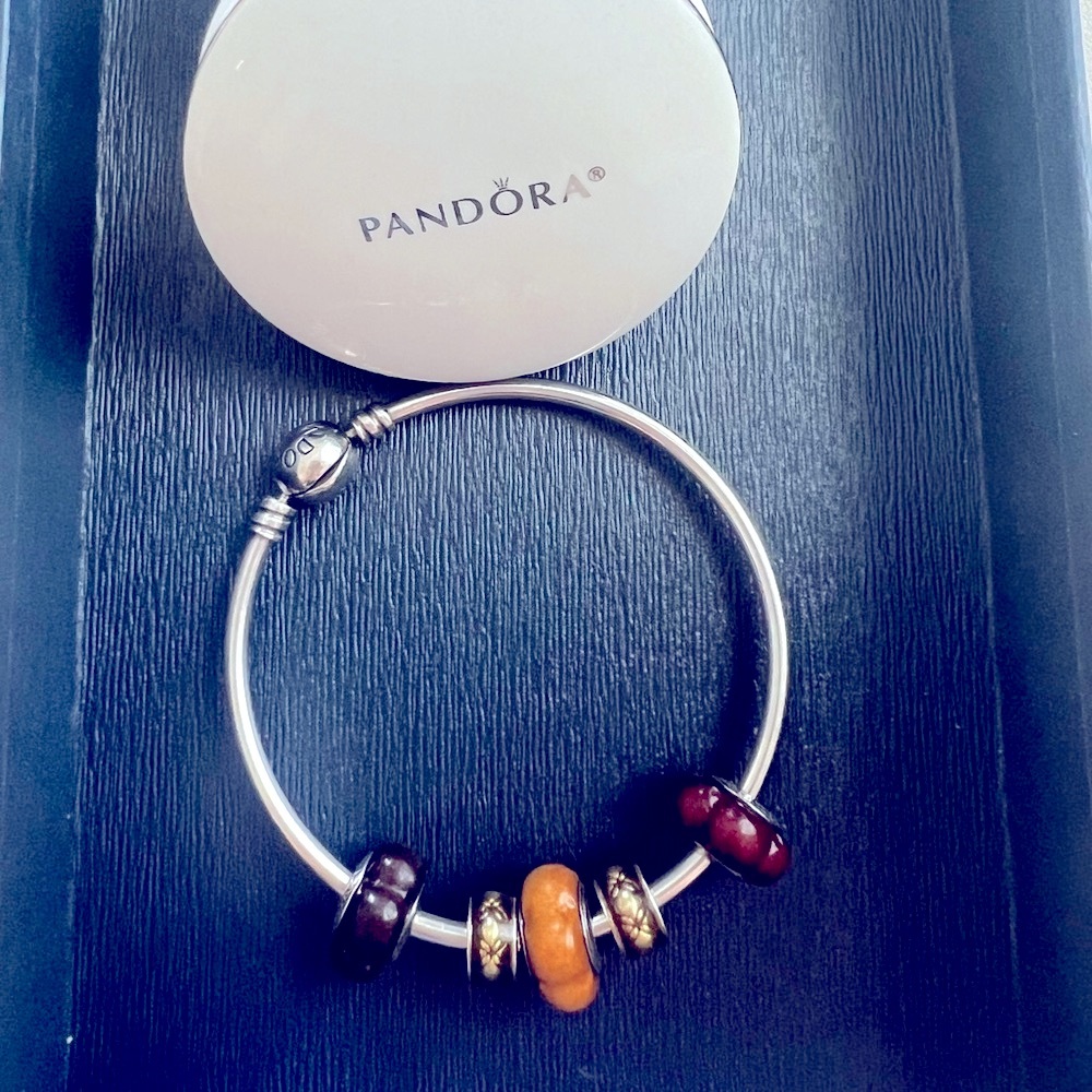 Pandora Ale 925 Authentic Bangle Bundle